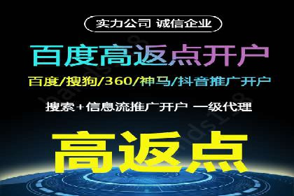 高效SEM托管服务：成功案例深度解析